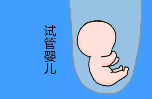 关于暖阳生殖